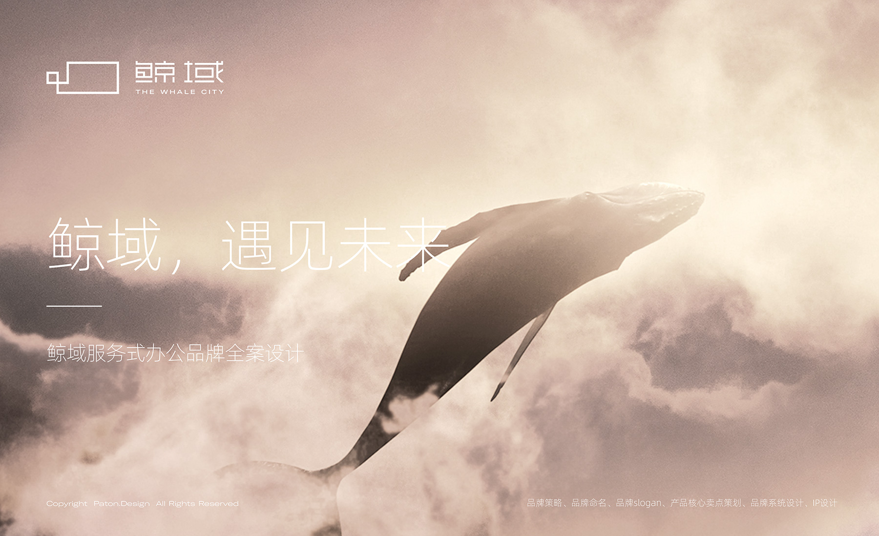 地產(chǎn)品牌全案設(shè)計